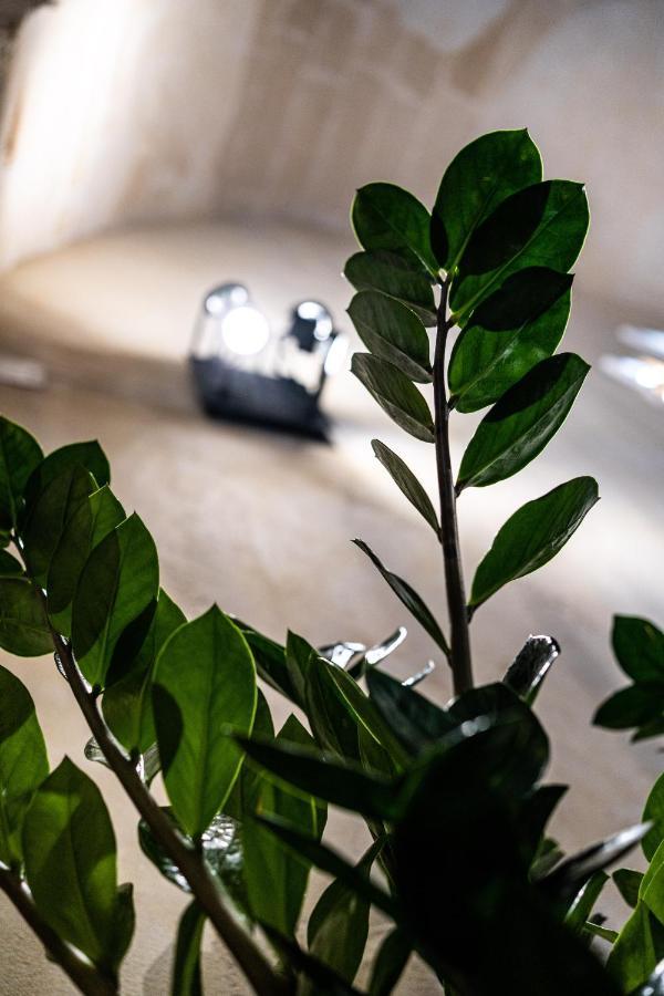 La Scunnuta Apartment Pulsano Exteriér fotografie